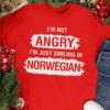 I’m Not Angry I’m Just Smiling In Norwegian Norway Shirt