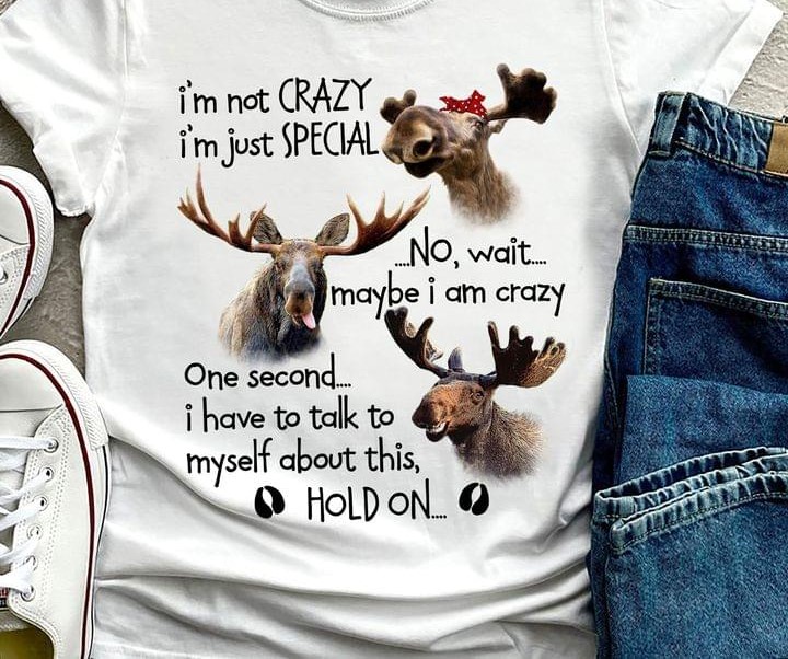 I'm Not Crazy I'm Just Special No Wait Maybe I Am Crazy Reindeers Shirt I'm Not Crazy I'm Just Special No Wait Maybe I Am Crazy Reindeers Shirt