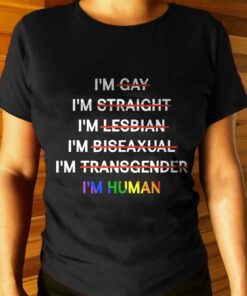 I’m Not Gay Straight Lesbian Biseaxual Transgender I’m Human Shirt