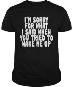 I’m Sorry For What I Said When You Tired Shirt