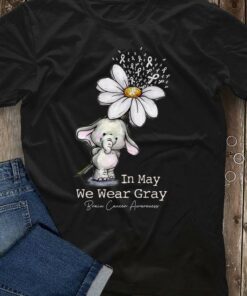 In May We Wear Gray Brain Cancer Awareness Cartoon Baby Elephant Flower Ribbons Shirt