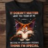It Doesn’t Matter What You Think Because My Imaginary Friends Think I’m Special Crazy Cat Shirt