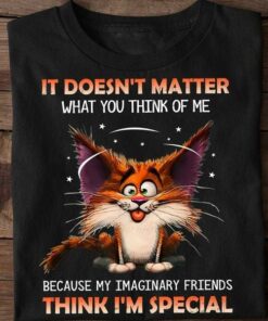It Doesn’t Matter What You Think Because My Imaginary Friends Think I’m Special Crazy Cat Shirt