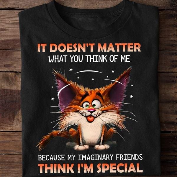 It Doesn't Matter What You Think Because My Imaginary Friends Think I'm Special Crazy Cat Shirt It Doesn't Matter What You Think Because My Imaginary Friends Think I'm Special Crazy Cat Shirt