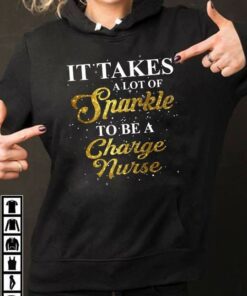 It Takes A Lot Of Sparkle To Be A Charge Nurse Hoodie