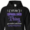 It’s An Esophageal Cancer Thing You Wouldn’t Understand Hoodie