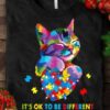 It’s Ok To Be Different Autism Colorful Cat Puzzle Heart Shirt