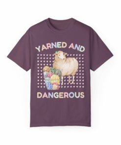 Funny Knitting Shirt for Friend Who Loves Crochet
